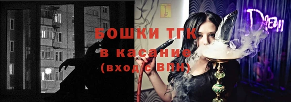 ПСИЛОЦИБИНОВЫЕ ГРИБЫ Медвежьегорск