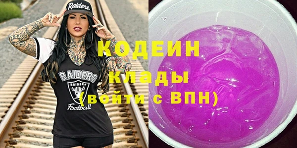 хмурый Северо-Курильск