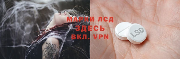 ПСИЛОЦИБИНОВЫЕ ГРИБЫ Медвежьегорск