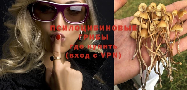 ПСИЛОЦИБИНОВЫЕ ГРИБЫ Медвежьегорск