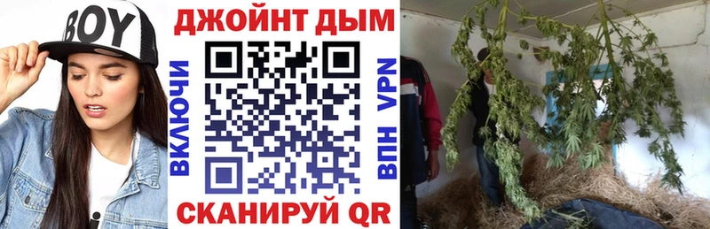 Конопля гибрид  где можно купить наркотик  Сычёвка 